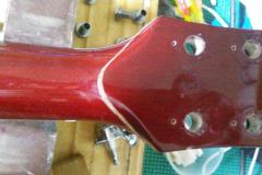 Hummingbird4