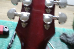 Hummingbird7