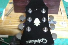 Hummingbird8
