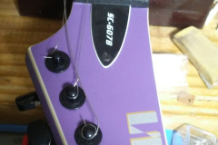 PLTD1