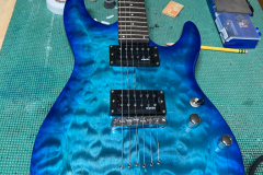 Schecter 1