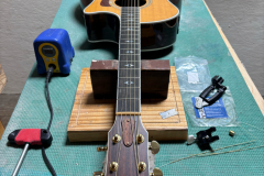 Taylor 6