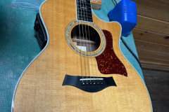 Taylor 7