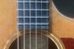 Taylor frets  3