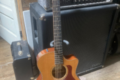 Taylor frets 4