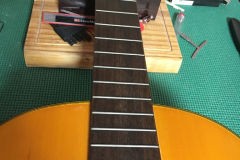 Tclassical3