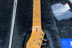 Tele_Floyd 1