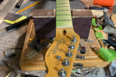Tele_Level 1