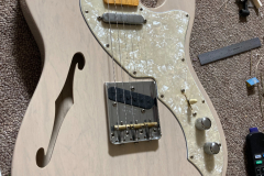 Thinline_Tele 1