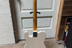 Thinline_Tele 3