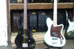 WIbasses