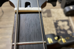 spector5