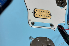 Blue_Jag 4