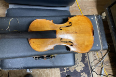 FiddleW-1