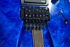 Jackson_LTD 15