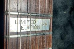 Jackson_LTD 18