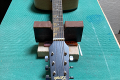 Laredo 5