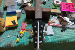 Schecter 2