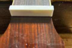 Yamaha_Nut 1