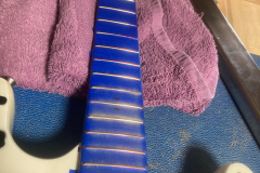 Zebra 2