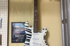Zebra 6
