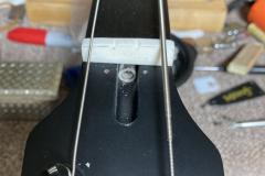 spector3